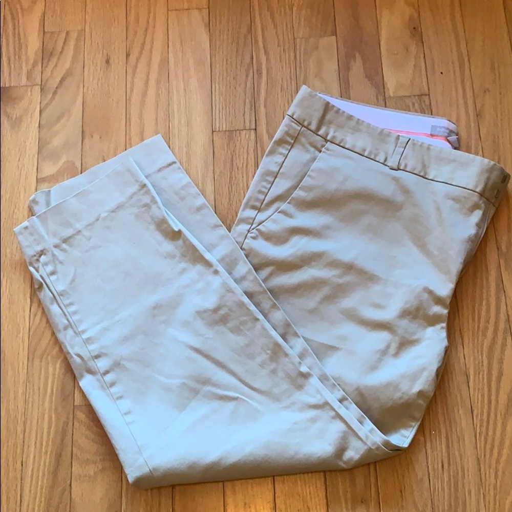 Banana Republic Hampton Pant Size 14